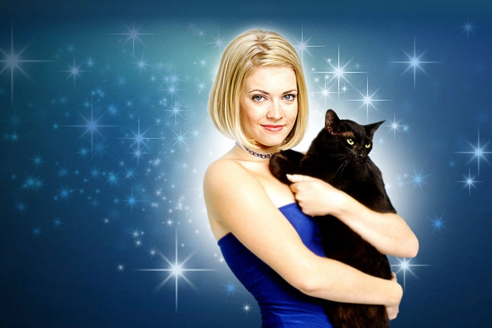 13 лучших котиков из фильмов и сериалов