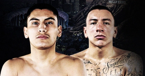 Бокс в Амедиатеке