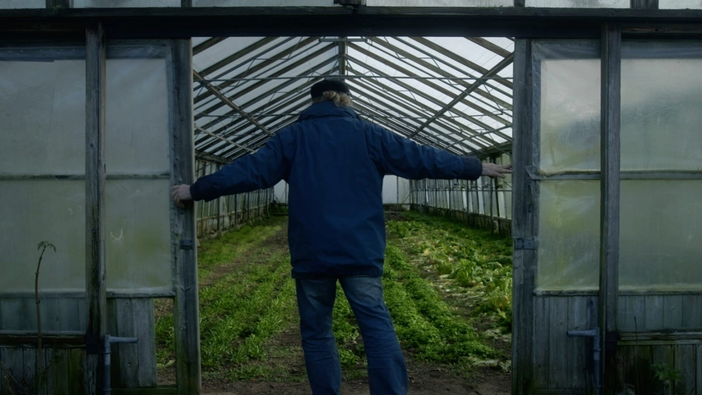 Правда, правда и еще раз правда: подборка увлекательных документальных фильмов