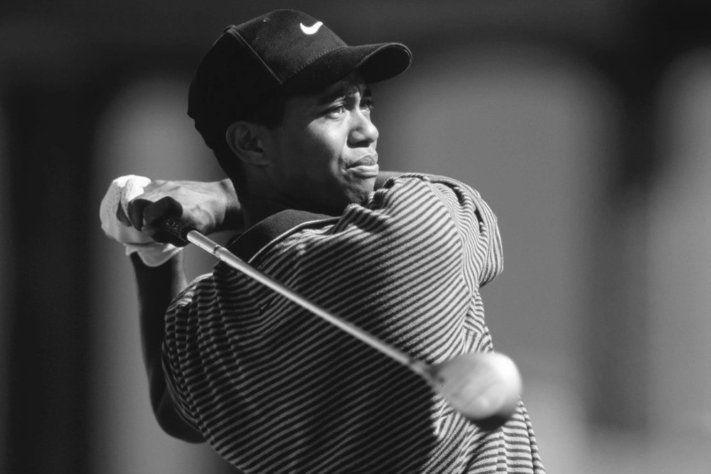 Попасть в топ и умереть: 5 документальных проектов о цене славы