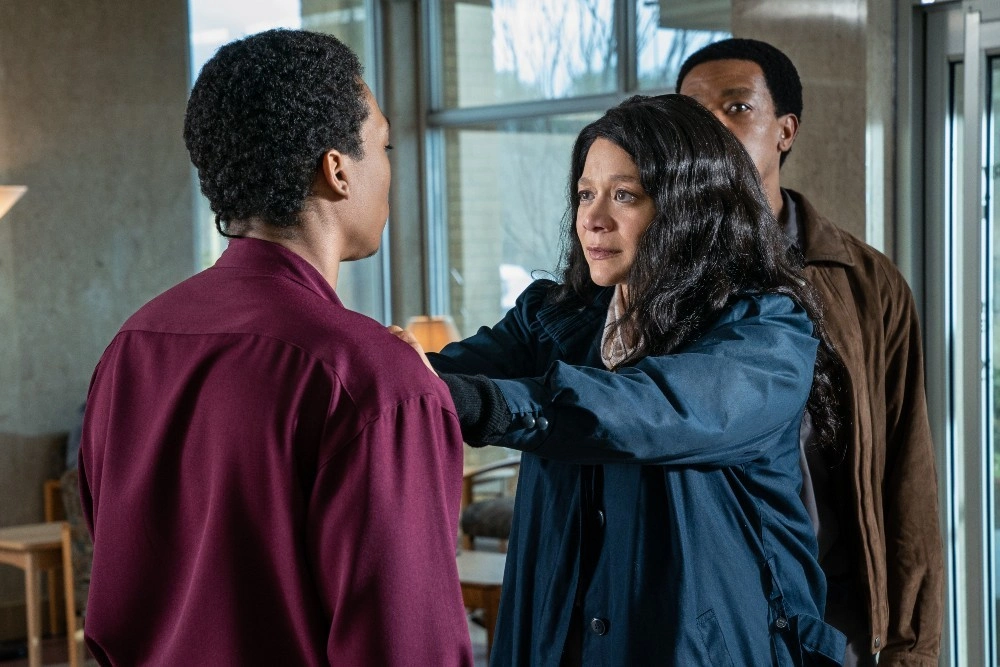 Кровь — не водица: 6 сериалов о криминальных семьях