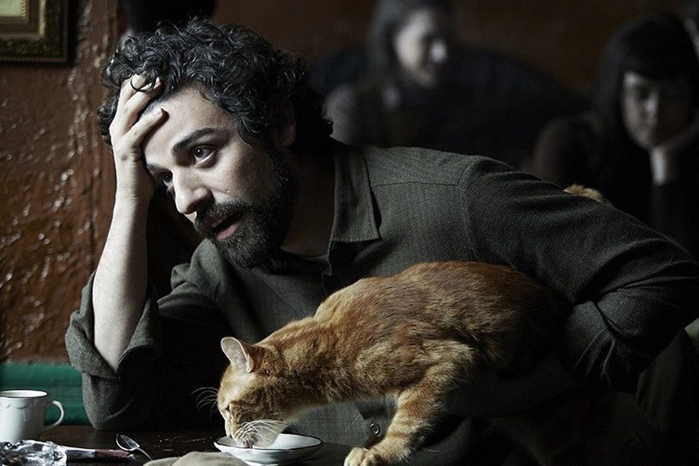 13 лучших котиков из фильмов и сериалов