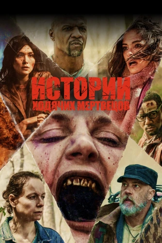 film poster