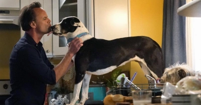 На грани нервного срыва: 6 сериалов о мужчинах в кризисе