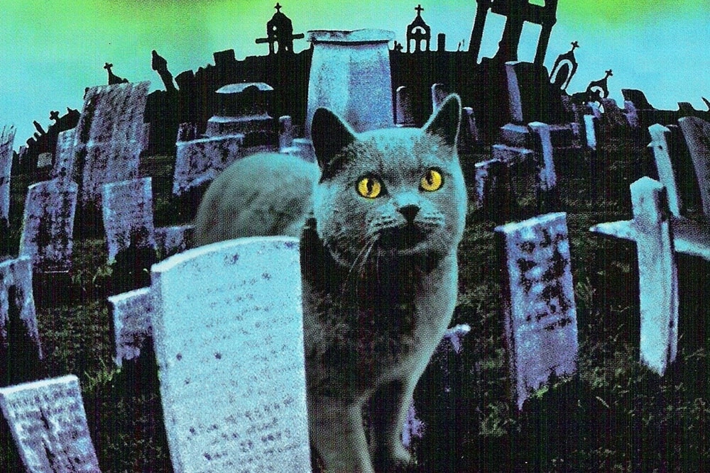 13 лучших котиков из фильмов и сериалов