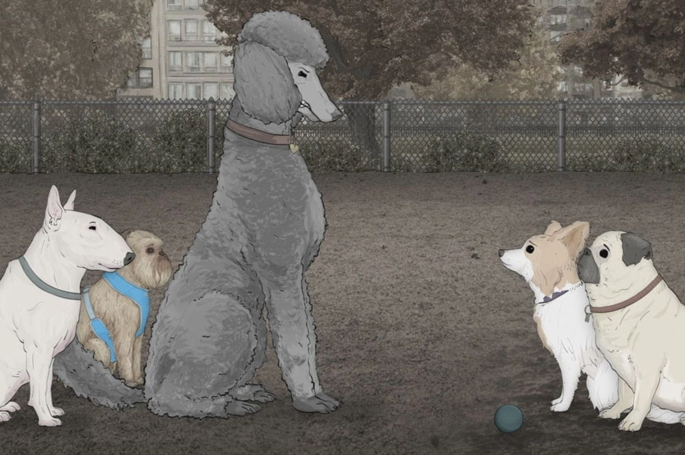 Все как у людей: 3 причины посмотреть сериал «Звери»