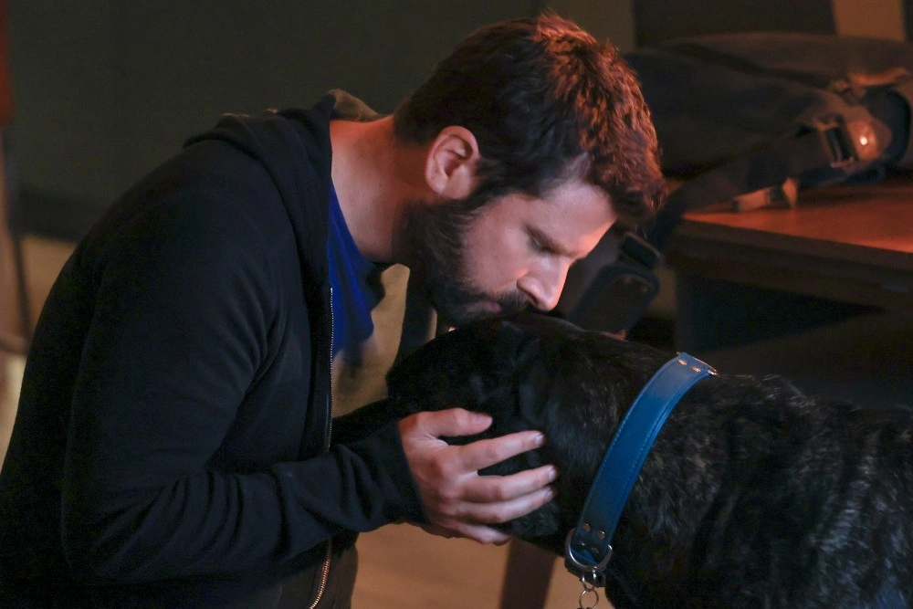 Хорошее время: 8 трогательных сериалов для эмоциональной разрядки