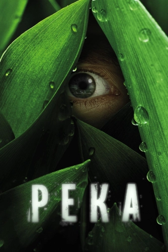 film poster