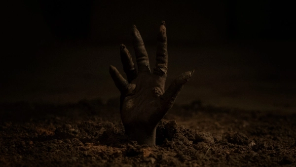 Внутри «Бессмертной вселенной» Энн Райс: изучаем сериалы о вампирах и ведьмах