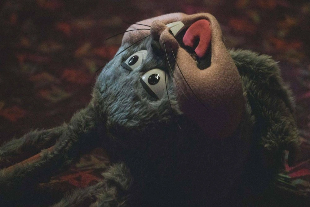 Лети, беги: Почему «В свободном улете» — самый удивительный сериал современности