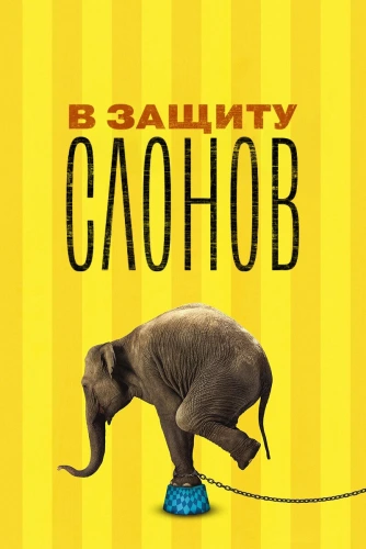 film poster