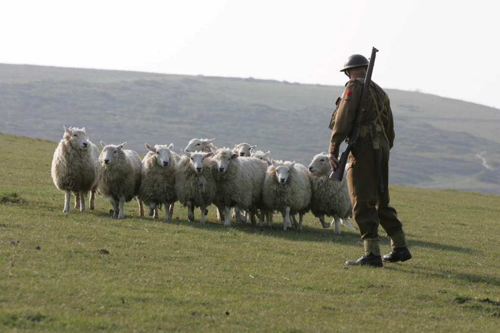 «Война Фойла»: сериал про сражения вовне и внутри 