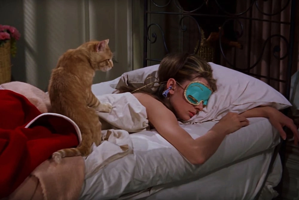 13 лучших котиков из фильмов и сериалов