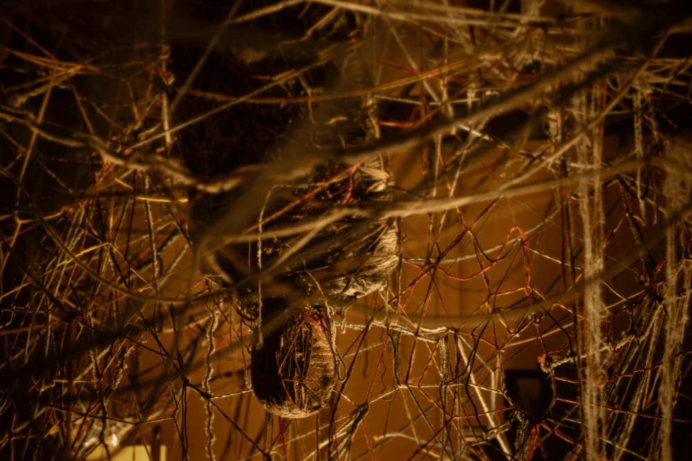 «По факту и добро, и зло — это одно и то же»: Интервью с Алексом де ла Иглесиа, режиссером сериала «30 сребреников»