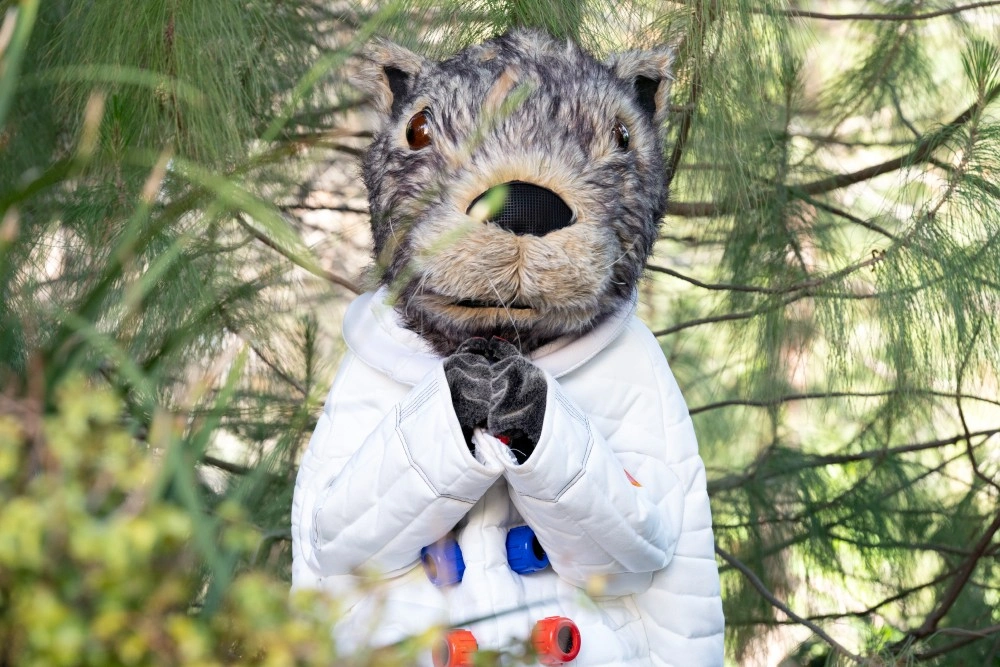 Почему нужно смотреть второй сезон «Шучу»