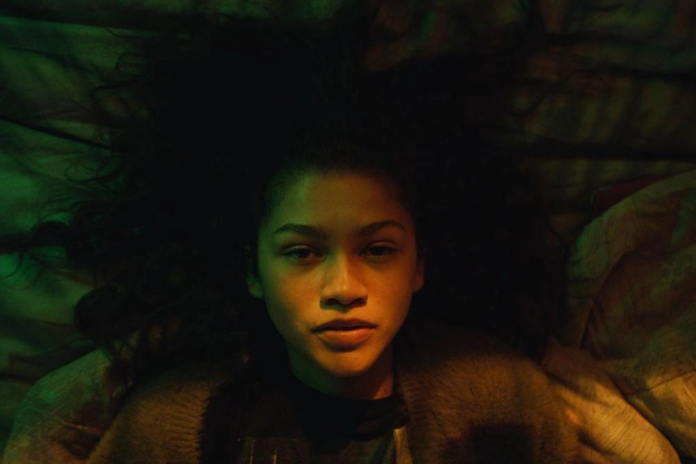 30 фактов о Зендее