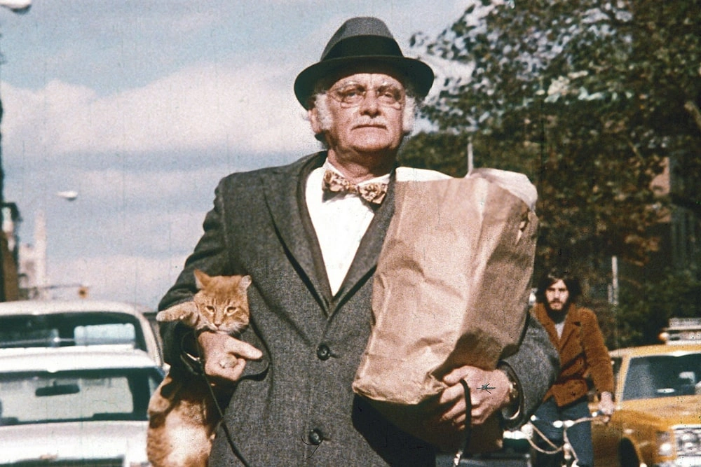 13 лучших котиков из фильмов и сериалов