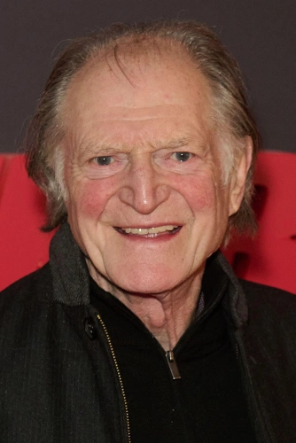 Дэвид Брэдли