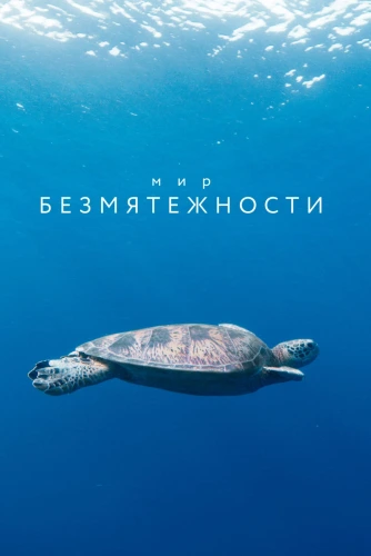 film poster