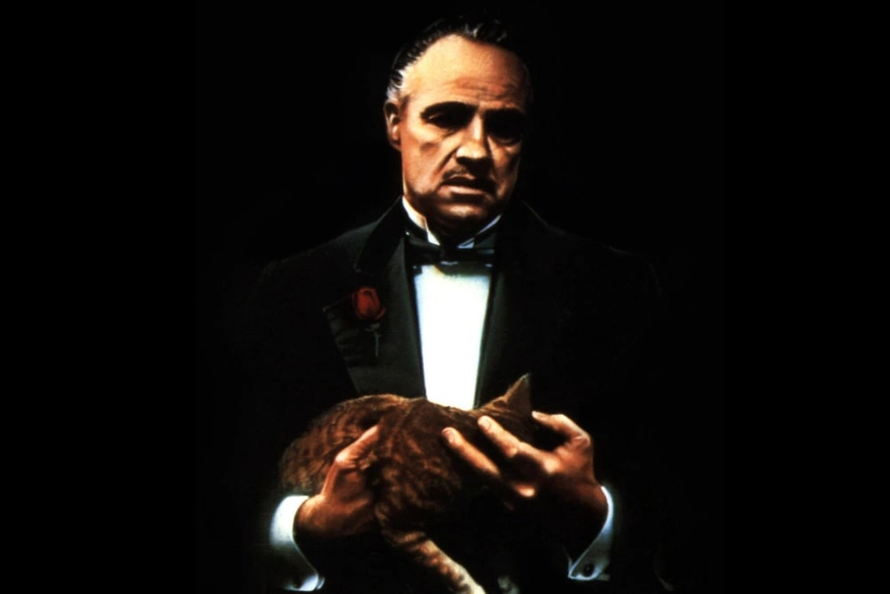 13 лучших котиков из фильмов и сериалов