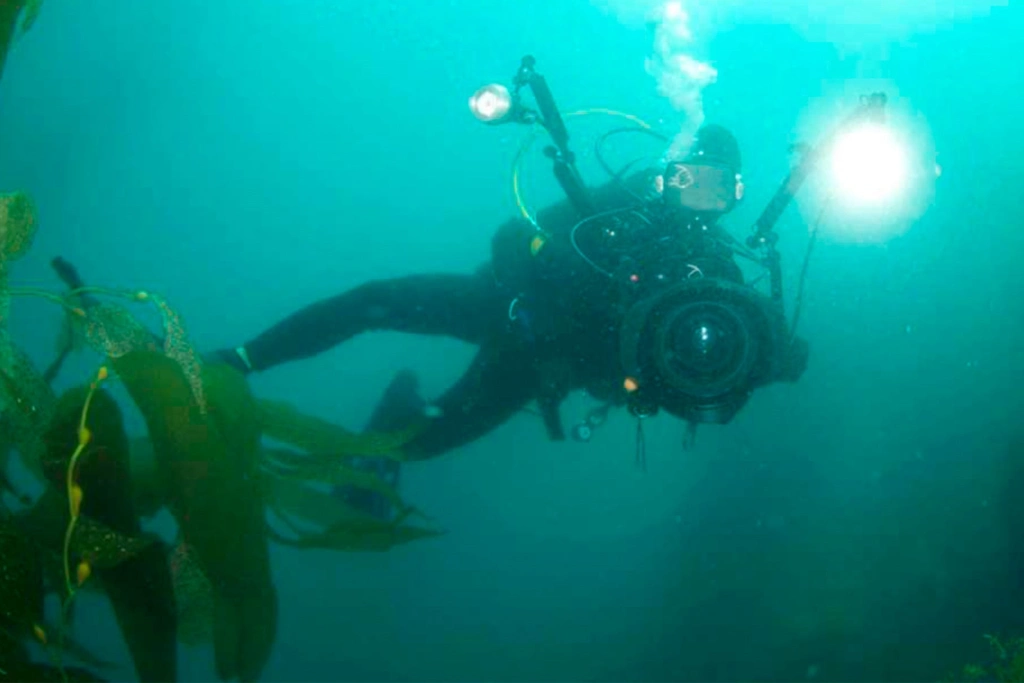 По-вашему, это искусство? 7 проектов от творчестве и&nbsp;творцах