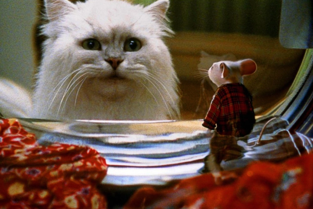 13 лучших котиков из фильмов и сериалов