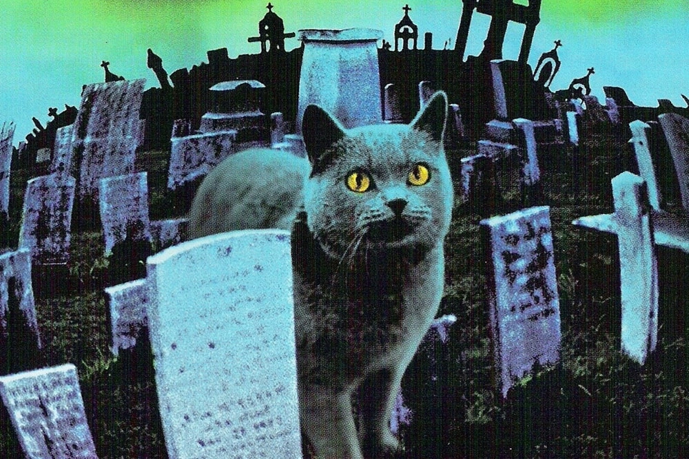 13 лучших котиков из фильмов и сериалов