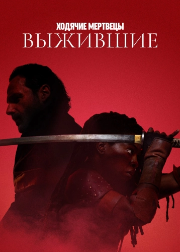 film poster