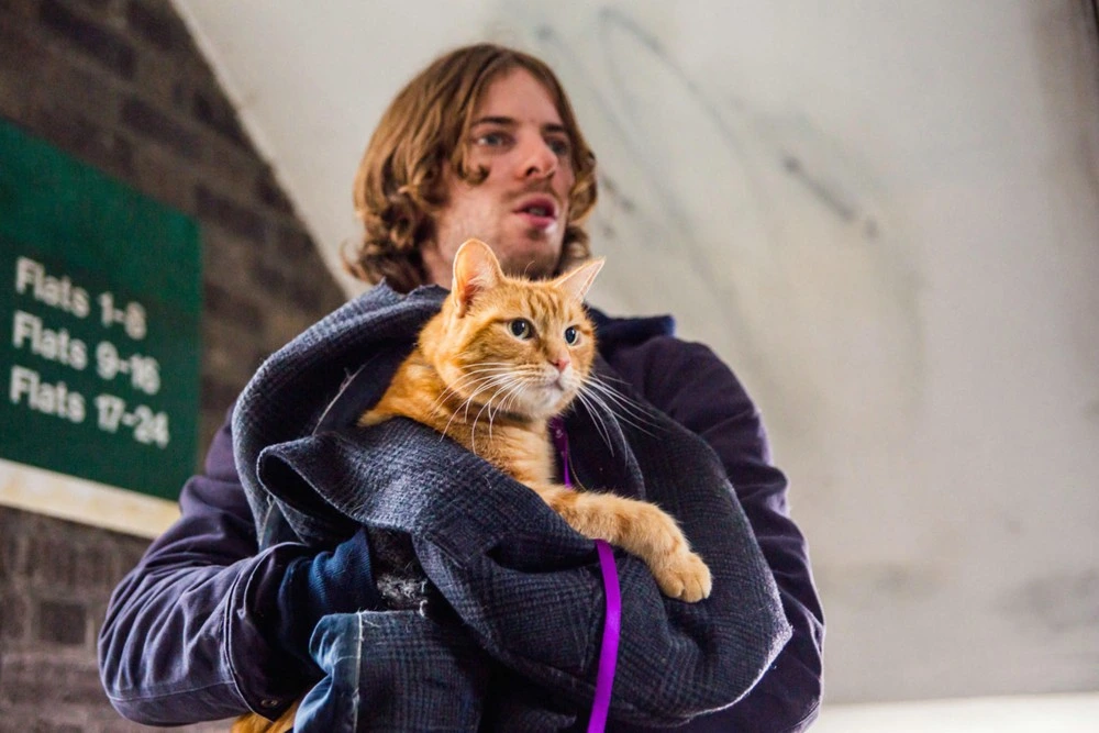 13 лучших котиков из фильмов и сериалов