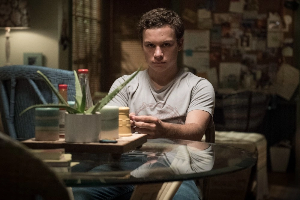 Кровь — не водица: 6 сериалов о криминальных семьях