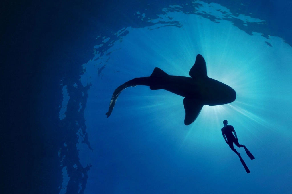 Лето, ах, лето: 7 проектов, которые помогут продлить любимое время года