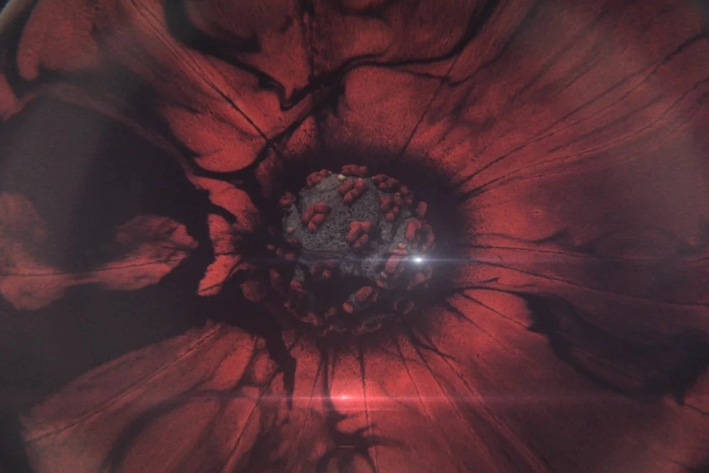 Закрытый мир: 5 документальных проектов о пандемии коронавируса