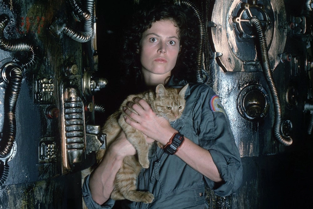 13 лучших котиков из фильмов и сериалов