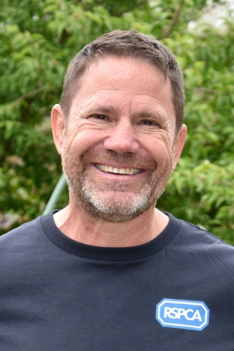 Стив Бакшолл