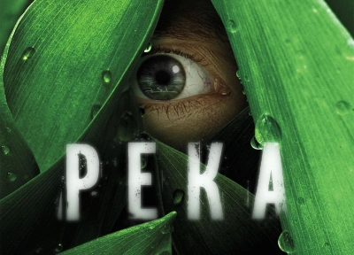 Изображение премьеры