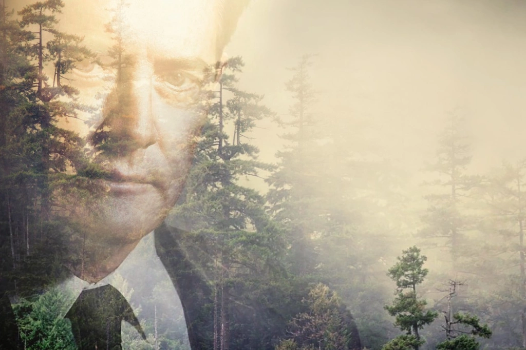 Так сказал Хичкок: 6 сериалов с&nbsp;элементами саспенса по&nbsp;заветам великого режиссера